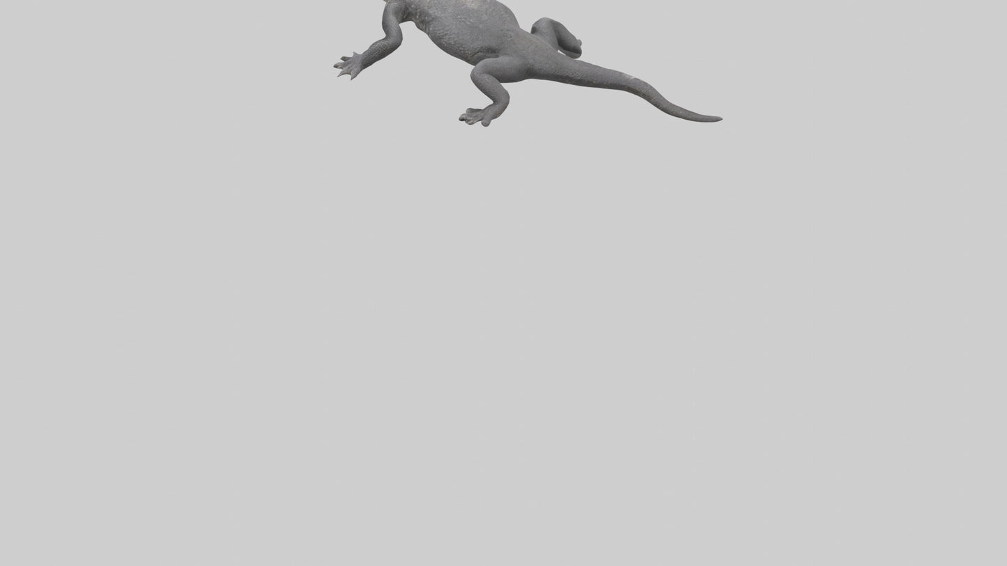 Lace Monitor resting model VR / AR / low-poly