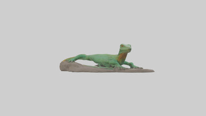 3D model Lacerta Lizard resting model VR / AR / low-poly