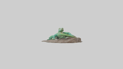 3D model Lacerta Lizard resting model VR / AR / low-poly