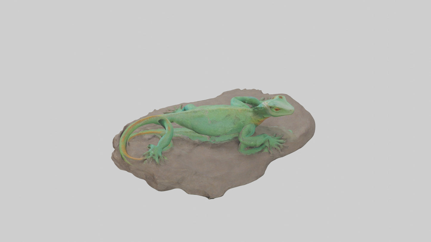 3D model Lacerta Lizard resting model VR / AR / low-poly