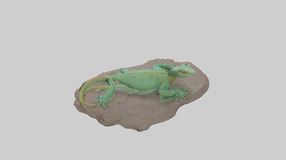 3D model Lacerta Lizard resting model VR / AR / low-poly