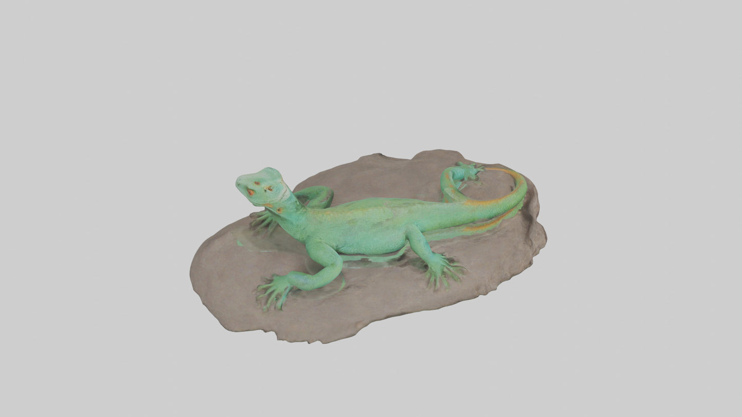 3D model Lacerta Lizard resting model VR / AR / low-poly