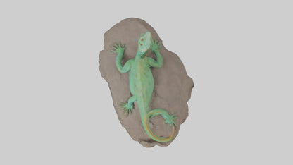 3D model Lacerta Lizard resting model VR / AR / low-poly