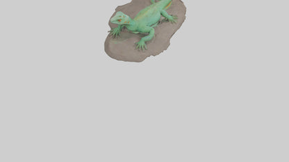 3D model Lacerta Lizard resting model VR / AR / low-poly