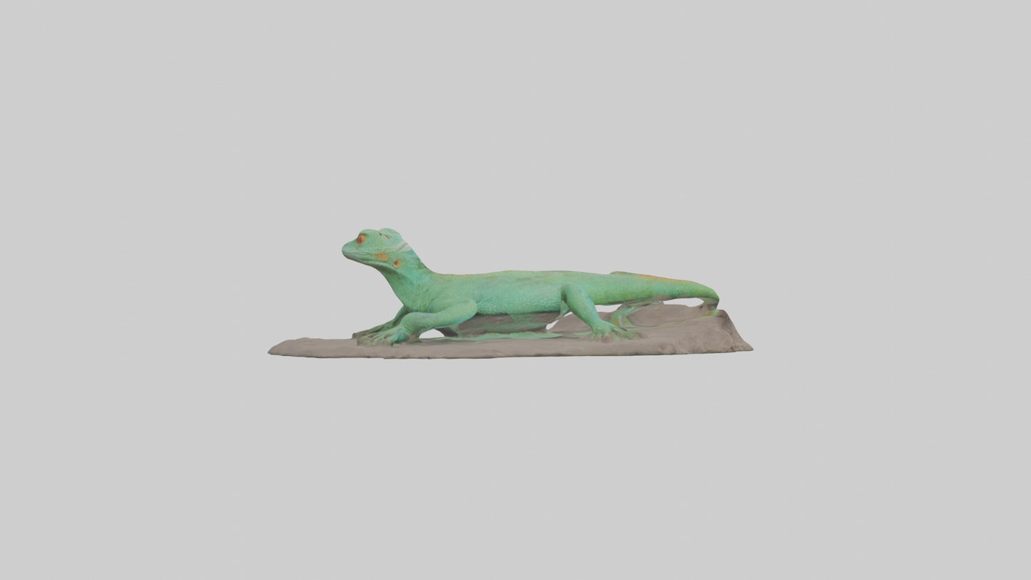 3D model Lacerta Lizard resting model VR / AR / low-poly