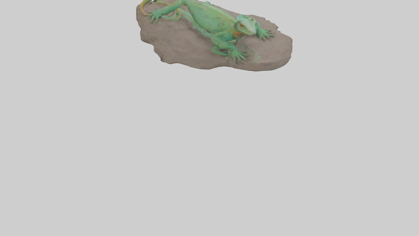 3D model Lacerta Lizard resting model VR / AR / low-poly