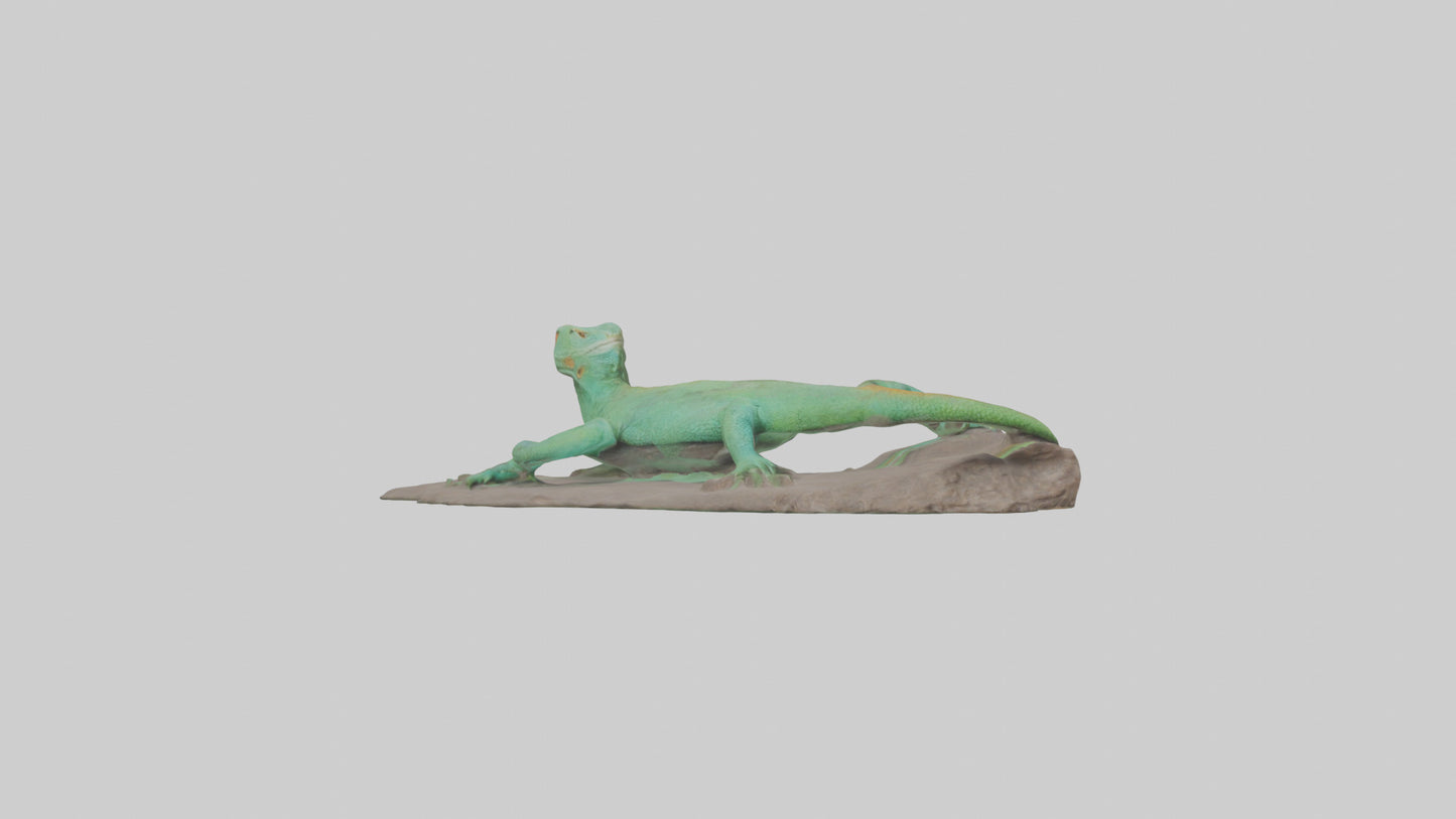 3D model Lacerta Lizard resting model VR / AR / low-poly