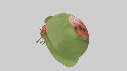 3D model Ladybug climbing leaf model VR / AR / low-poly