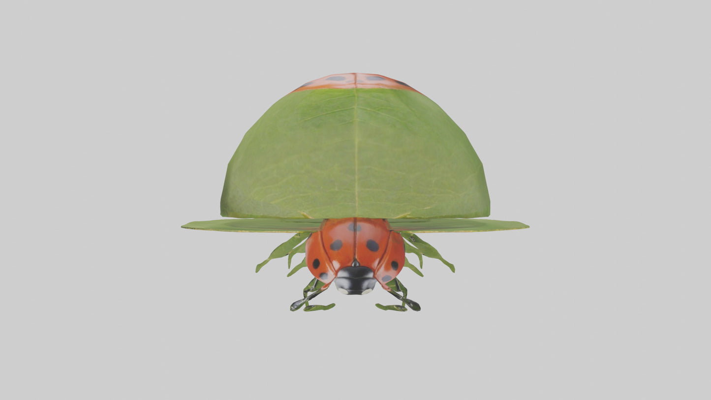 3D model Ladybug climbing leaf model VR / AR / low-poly