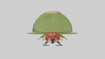 3D model Ladybug climbing leaf model VR / AR / low-poly