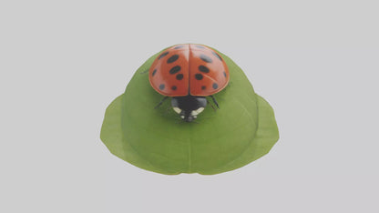 3D model Ladybug climbing leaf model VR / AR / low-poly