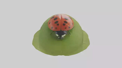 3D model Ladybug climbing leaf model VR / AR / low-poly