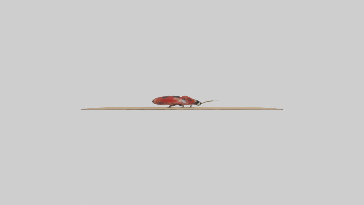 Ladybug sitting model VR / AR / low-poly