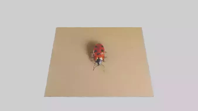 Ladybug sitting model VR / AR / low-poly