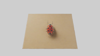 Ladybug sitting model VR / AR / low-poly