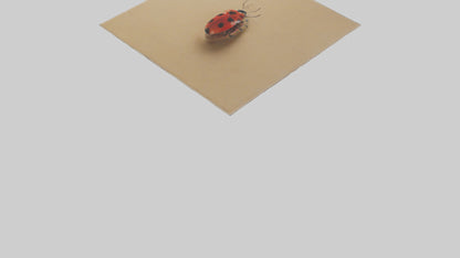 Ladybug sitting model VR / AR / low-poly