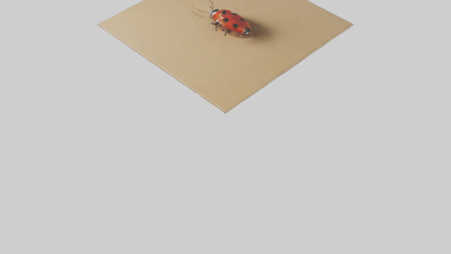 Ladybug sitting model VR / AR / low-poly