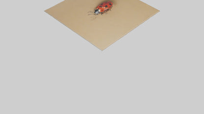 Ladybug sitting model VR / AR / low-poly