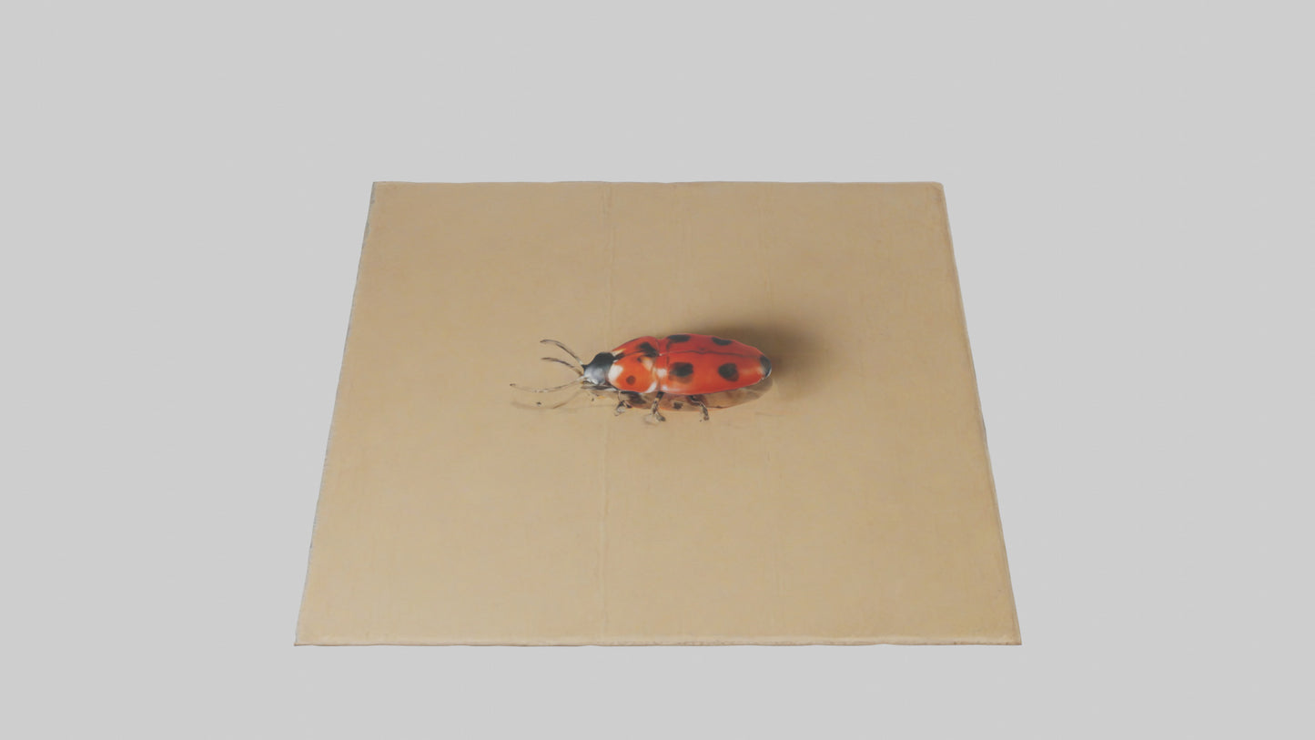 Ladybug sitting model VR / AR / low-poly