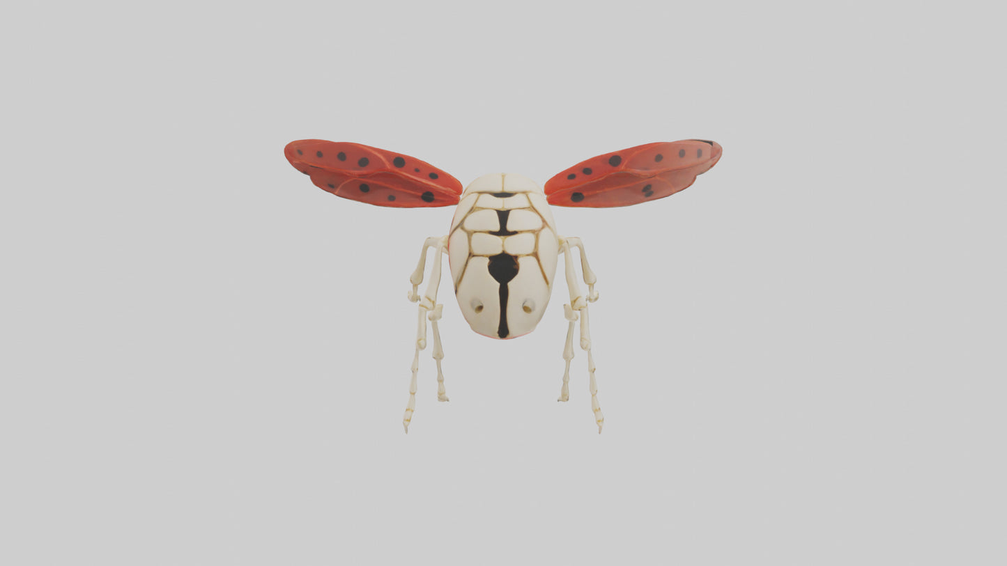 Ladybug Skeleton model 3D model