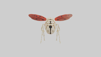 Ladybug Skeleton model 3D model