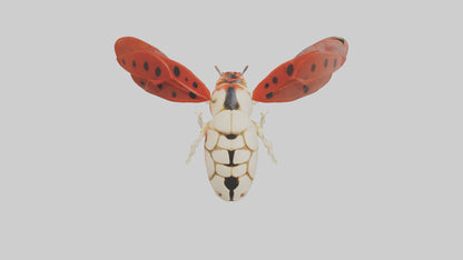 Ladybug Skeleton model 3D model