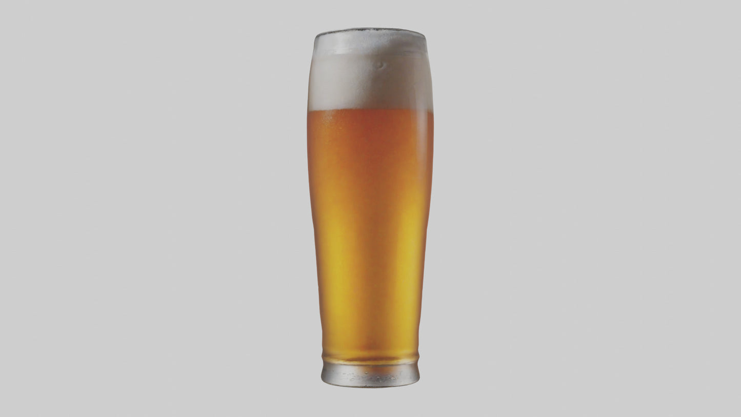 3D model Lager beer model VR / AR / low-poly