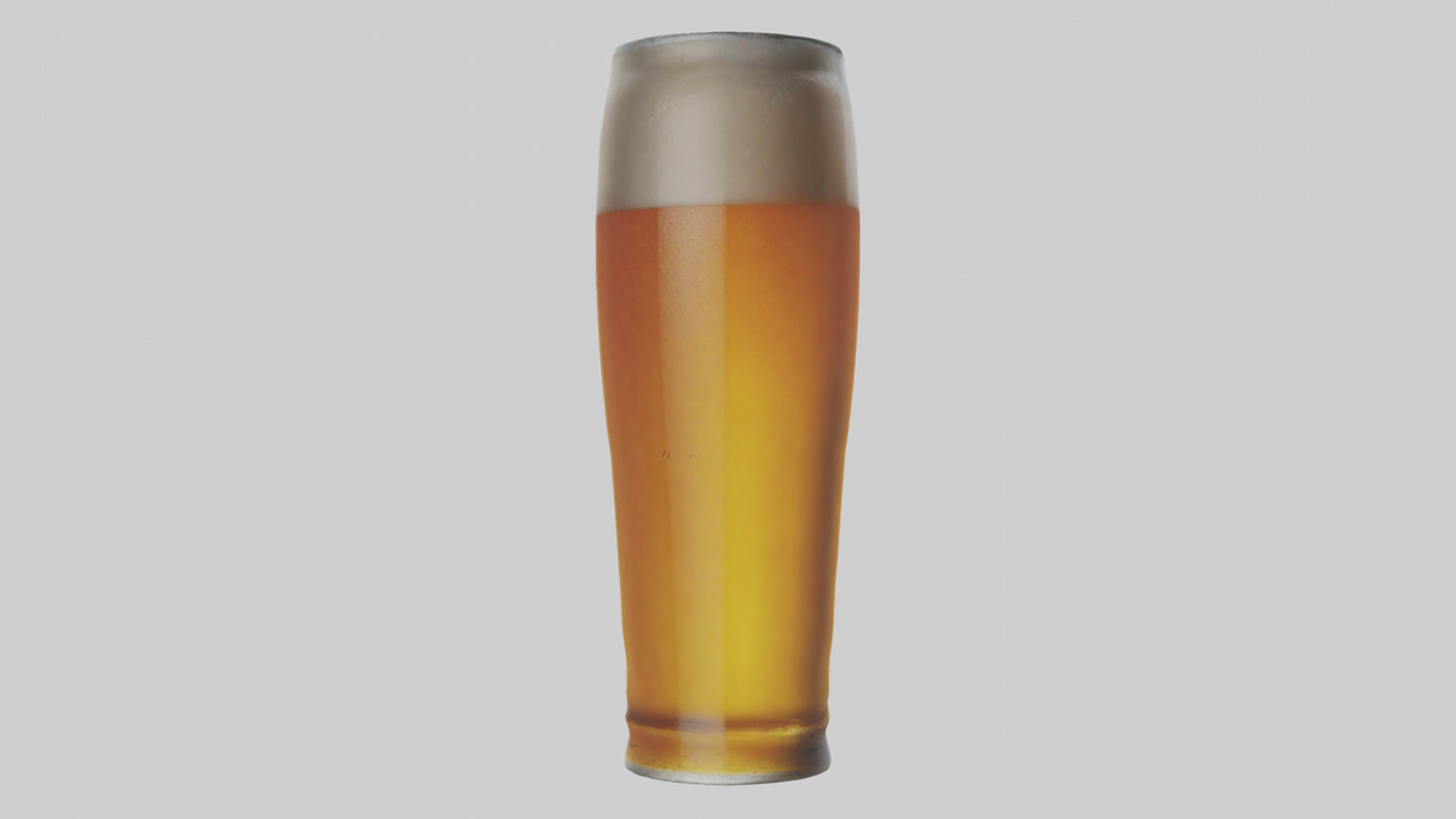 3D model Lager beer model VR / AR / low-poly