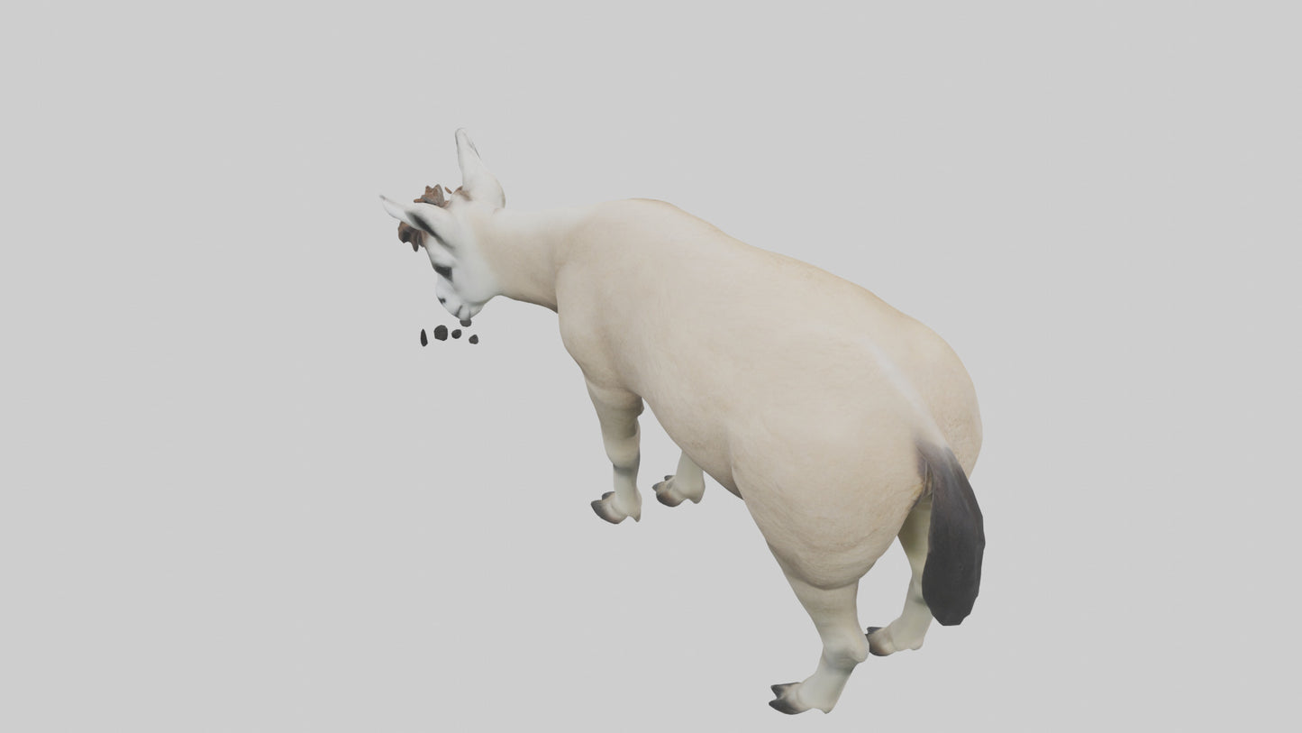 3D model Lama grazing model VR / AR / low-poly