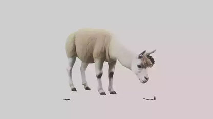 3D model Lama grazing model VR / AR / low-poly