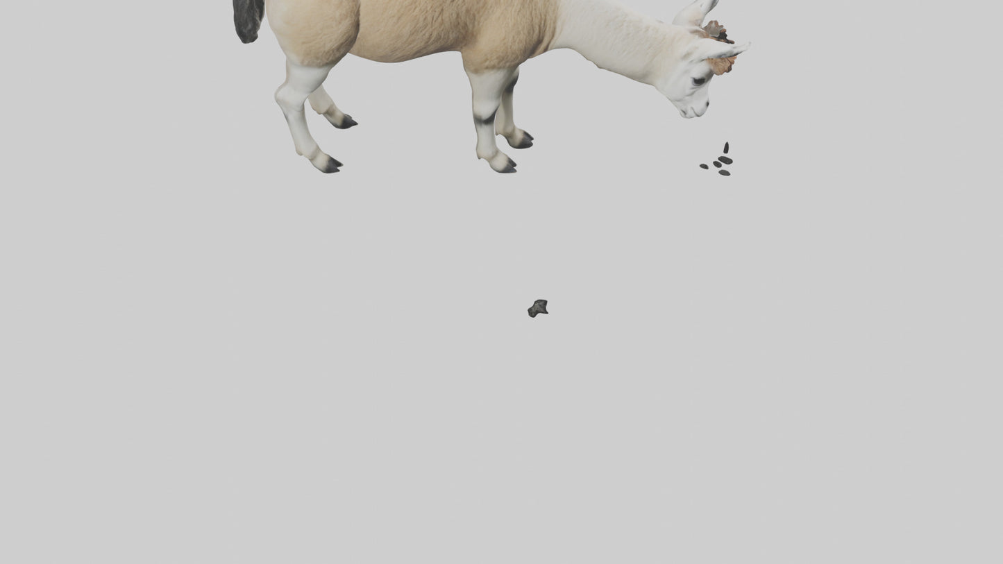 3D model Lama grazing model VR / AR / low-poly