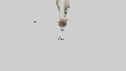 3D model Lama grazing model VR / AR / low-poly