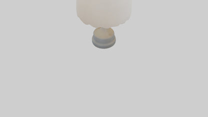 3D model Lamp shade model VR / AR / low-poly