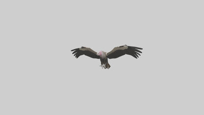 3D model LappetFaced Vulture flying model VR / AR / low-poly