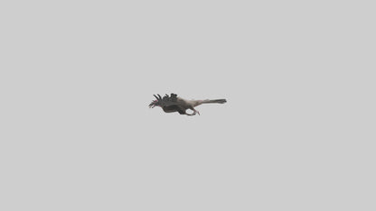 3D model LappetFaced Vulture soaring model VR / AR / low-poly