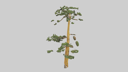 3D model Larch tree model VR / AR / low-poly