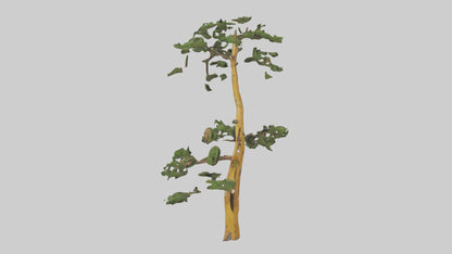 3D model Larch tree model VR / AR / low-poly