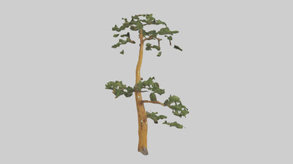3D model Larch tree model VR / AR / low-poly