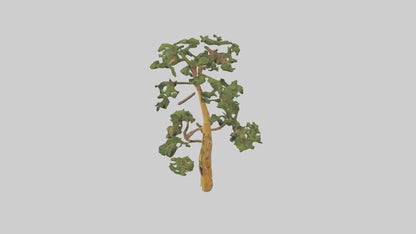3D model Larch tree model VR / AR / low-poly