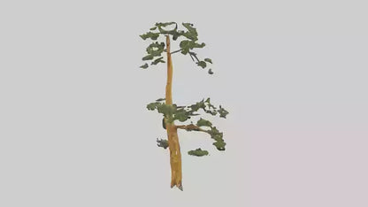 3D model Larch tree model VR / AR / low-poly
