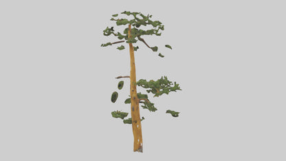 3D model Larch tree model VR / AR / low-poly