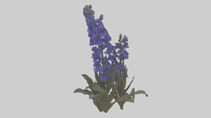 3D model Larkspur model VR / AR / low-poly