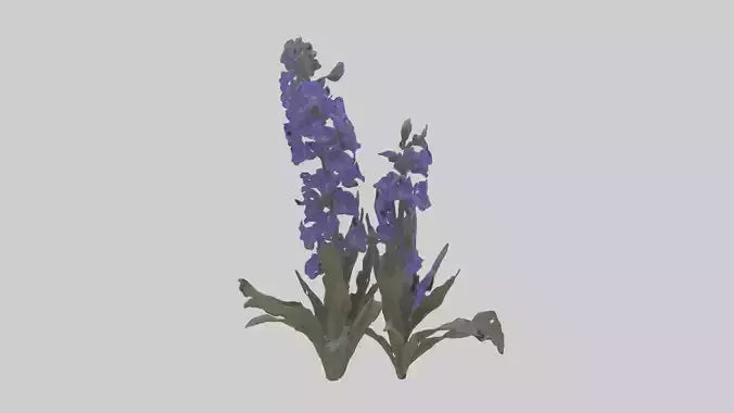 3D model Larkspur model VR / AR / low-poly
