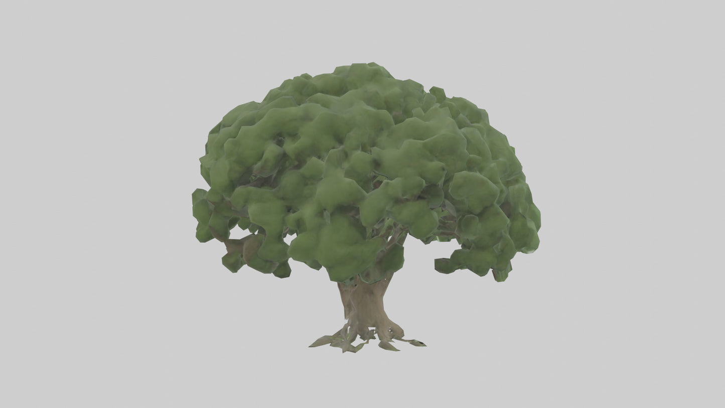 3D model Laurel tree model VR / AR / low-poly