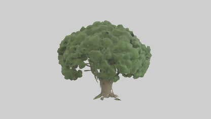 3D model Laurel tree model VR / AR / low-poly