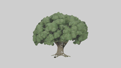 3D model Laurel tree model VR / AR / low-poly
