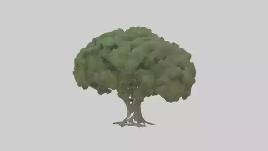 3D model Laurel tree model VR / AR / low-poly