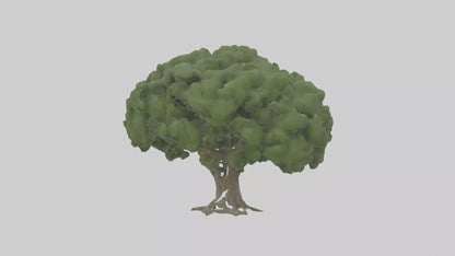 3D model Laurel tree model VR / AR / low-poly