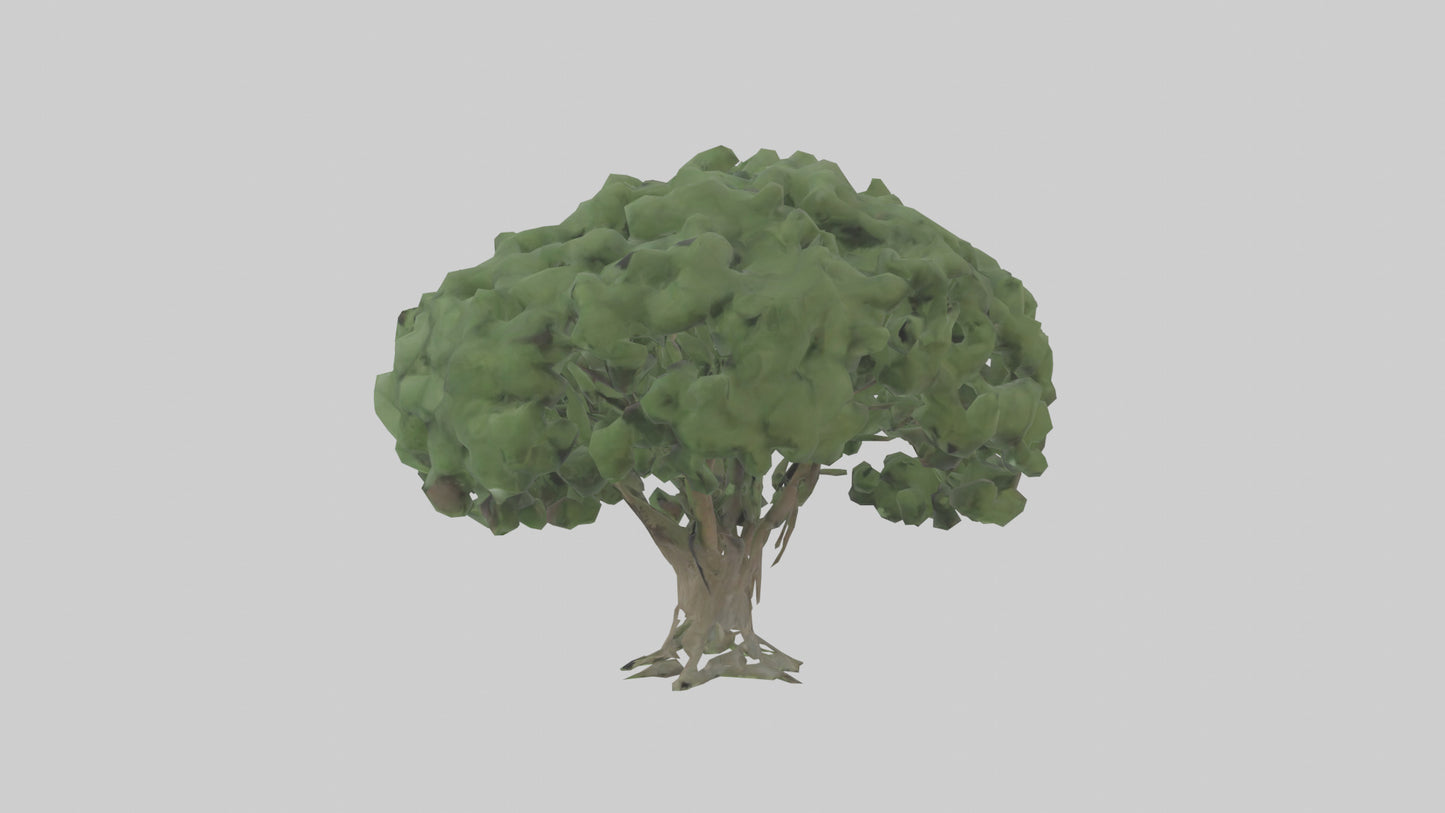 3D model Laurel tree model VR / AR / low-poly