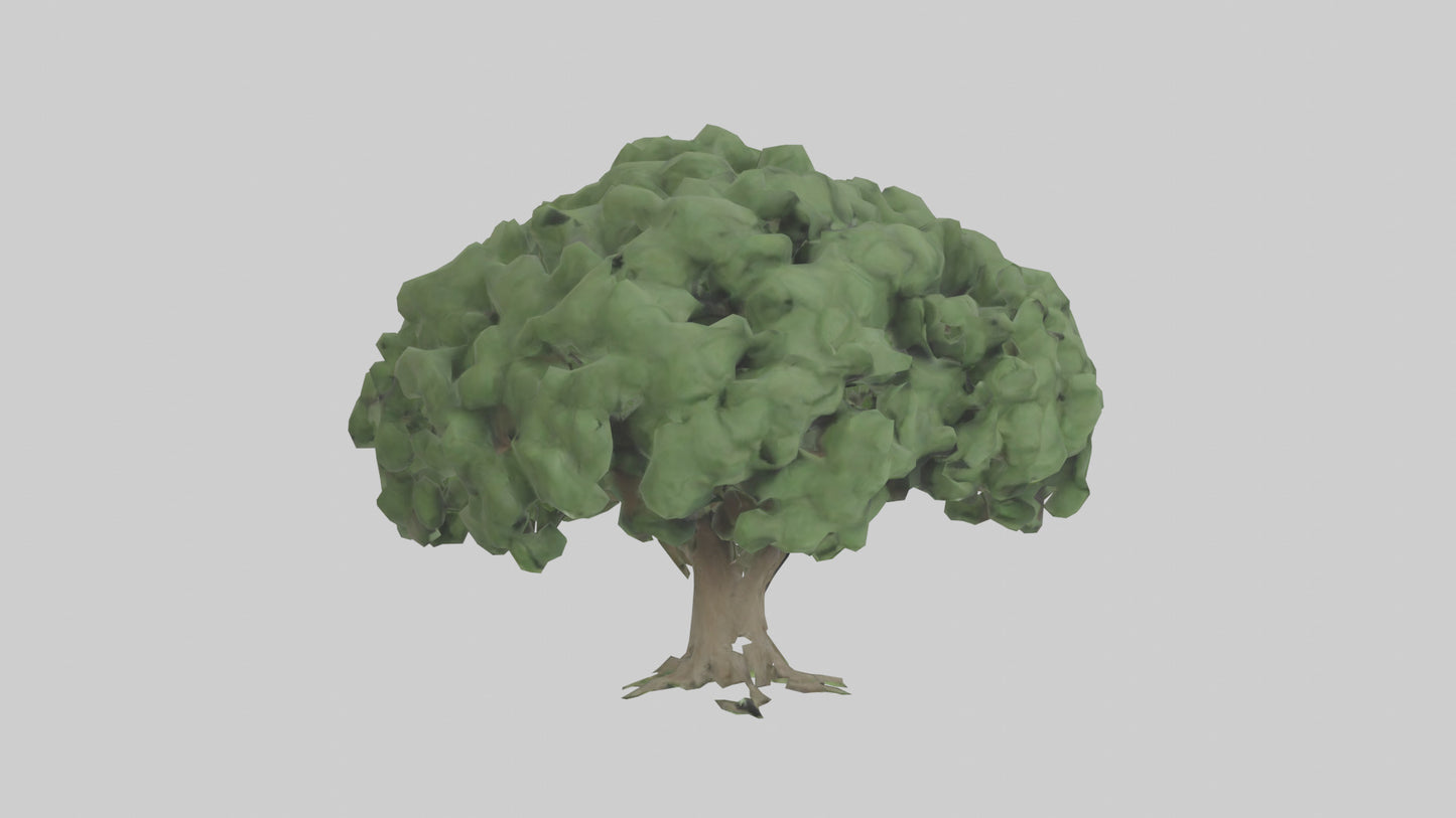 3D model Laurel tree model VR / AR / low-poly